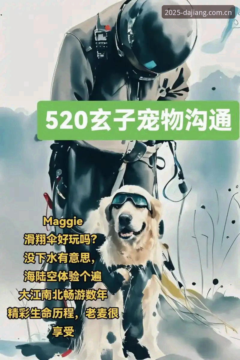 大江体育平台2025安卓版完整使用指南：从下载到深度体验的全流程解析